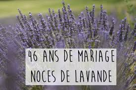 Resultado de imagen de noces de lavande