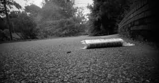 Media and Democracy Summit Addresses Eroding Trust in News