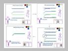 SNP genotyping: the KASP assay