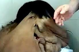 Resultado de imagem para homem elefante