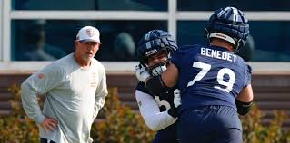 bears