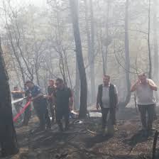 Yeni Şafak - News update