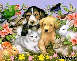 R&eacute;sultat de recherche d'images pour "les animaux"