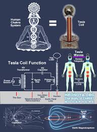 Image result for free energy