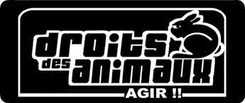 Image search result for 