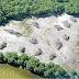 Stronger measures to stop NSW rubbish flowing into Queensland ...