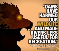 Wild Animal Quotes and Sayings - Bing images via Relatably.com