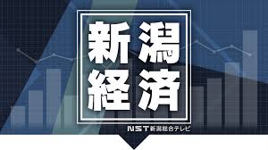 新潟ニュース NST - News update
