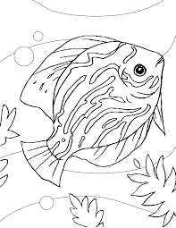 fish coloring pages ile ilgili görsel sonucu