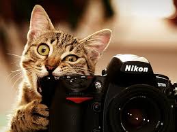 Résultat de recherche d'images pour "magnifique"