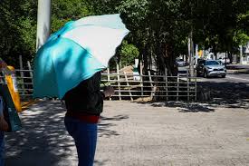 ¡Con clima loco! Sinaloa tendrá domingo caluroso, cielo variable y vientos moderados, advierte el SMN