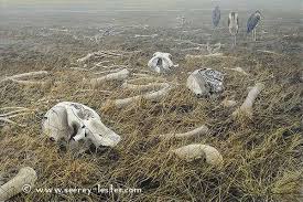 images?q=tbn:ANd9GcR-gQgaTdFB88wbVA6_6Eyb-7vB55kT8C1CBbMnKEdP60z4Zv5fTQ