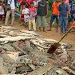 crocodiles slaughtered Indonesian revenge attack