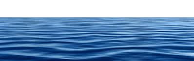 Image result for SEA