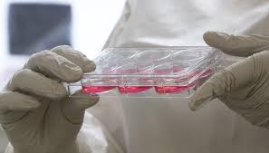 Résultat de recherche d'images pour "average age nih grant"