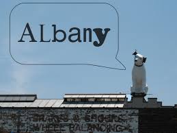 Image result for nipper albany