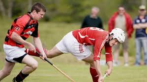 Résultat de recherche d'images pour "shinty"