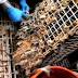 Fight over labeling of 'flushable' wipes headed to federal court