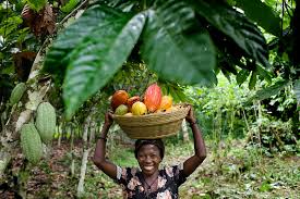 Image result for agric  pictures