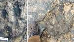Vandals take hammer ancient Australia