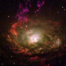 Image result for circinus galaxy