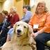 Guide dogs now welcome in most areas of Tampa's Lowry Park Zoo