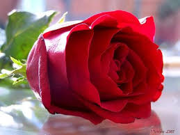 أنتِ واثقة نفسك اختبري جمالك