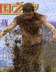 Résultat de recherche d'images pour "covered in bees"