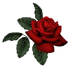 images?q=tbn:ANd9GcR0Ed7b35VvOZs6O7g3QHehYLoCuWdsJq5AQo3gl8pE73Tojd0XvLwH1GzL