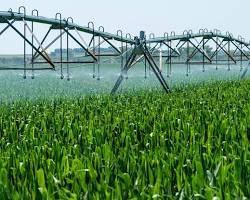 Image of farmers working in a field, possibly with new irrigation systems