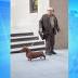 Review: 'Wiener-dog' skewers humankind's many failings