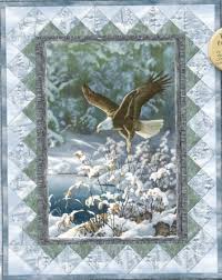 Résultat de recherche d'images pour "panels quilt patterns"