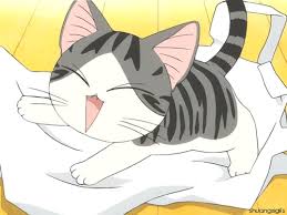 Résultat de recherche d'images pour "chi cat gif"