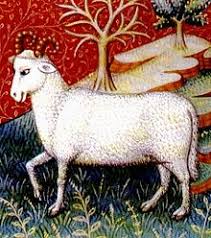 Image result for aries image