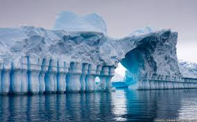 Image result for bing icebergs