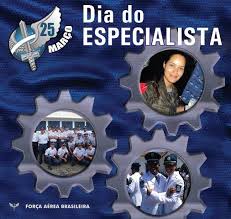 Resultado de imagem para especialista em aeronautica