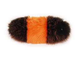 Image result for wooly bears