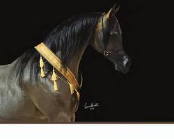 Image of Desert Mirage horse