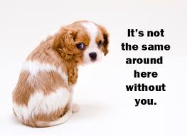 Image result for MICKEY AND MINNIE quotes and gfs missing you
