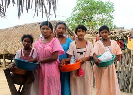 Image result for wayuu