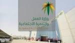 تفاصيل ألف جولة لتعقب مخالفات