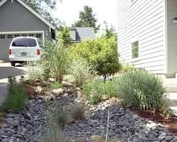 Urban garden reducing stormwater runoff