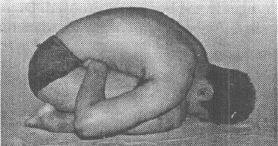 Image result for Mandukasana