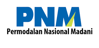 Image result for PT Permodalan Nasional Madani (Persero)