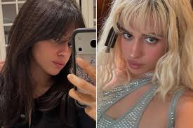 Camila Cabello Reveals Her Hair Has Finally Recovered from 'Bleachgate' 2 Years After She Went Blonde
