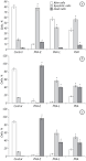 Phytohemagglutinin-Stimulated Mouse Lymphocytes