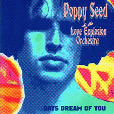 Poppy Seed &amp; The Love Explosion Orchestra - cd-cover