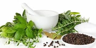 HERBS Quotes Like Success via Relatably.com
