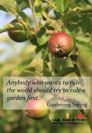 Gardening Quotes And Sayings. QuotesGram via Relatably.com