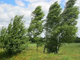 Azerbaijan issues weather warning for strong winds